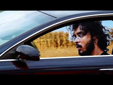 Car vs Area's Dogs #shorts