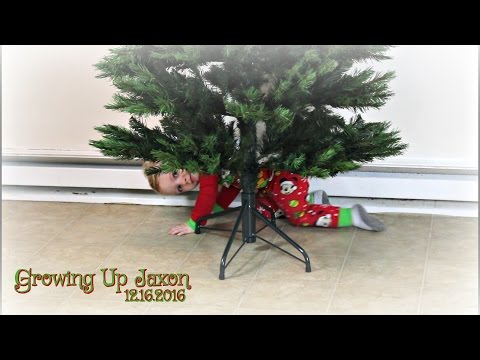 GUJ 504 | 12.16.2016 | Disney Tsum Tsum Advent Calendar Day 16