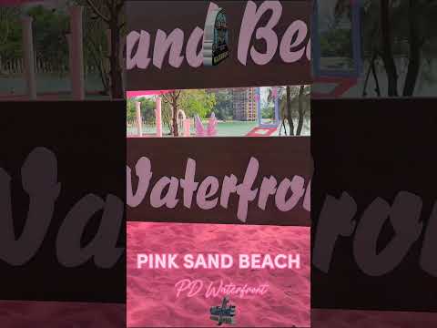 Pink Sand Beach carnival