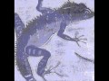 Sombre Reptiles, Live 801 (eno and manzanera)
