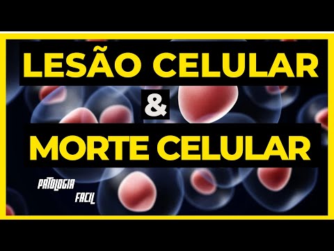 Patologia Geral -  Lesão Celular;  Morte Celular e Adaptação Celular.