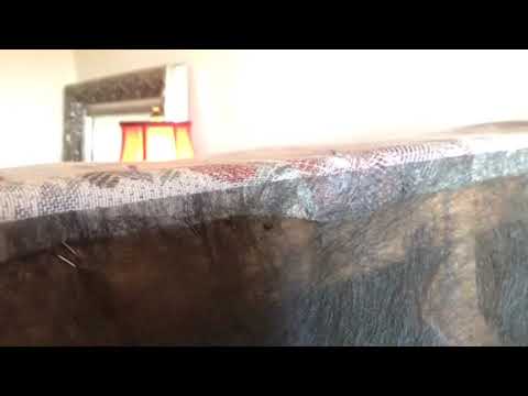 Bed bug Inspections in Oceanport, NJ