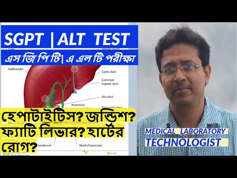 এস জি পি টি পরীক্ষা (রক্তের) SGPT/ALT Blood Test, লিভারের স্বাস্থ্য পরীক্ষা Test your Liver