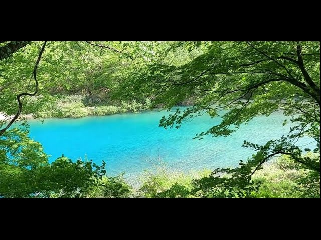 May 3, 2024: Fresh greenery in Dakigaeri Valley