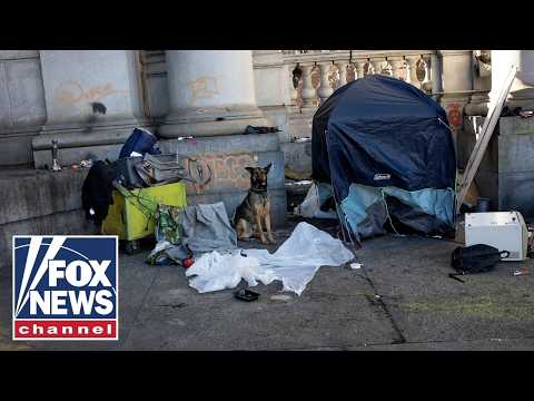 An inside look at a homeless encampment in Mamdani's NYC
