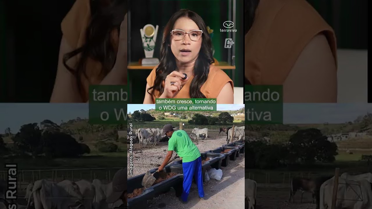 O que o etanol tem a ver com a alimentação do gado?