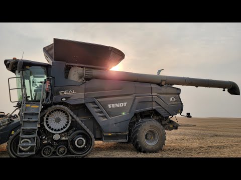 Ideal 10 in the field