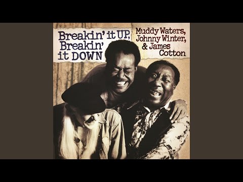 Got My Mojo Workin' (Live)