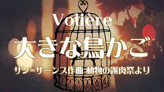 Download lagu サン=サーンス 組曲「動物の謝肉祭」より 《大きな鳥かご》 mp3 Download lagu サン=サーンス 組曲「動物の謝肉祭」より 《大きな鳥かご》 mp3