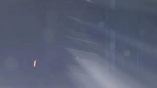 ヤニカス女子のシージ配信！！ベロベロです！！