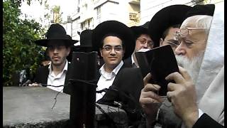 🌴תיעוד הסטורי: הגה"ג רבי שמואל יעקב בורנשטיין והגר"ש קניבסקי, ובני קרית מלך בברכת האילנות ובריקודים