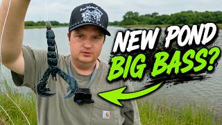 Pond Hopping for Giant Bass around Fort Worth, Texas! (May Bass Fishing)