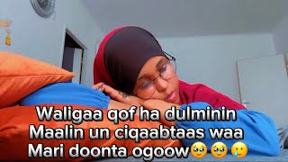 Wlaahi waligaa qof ma dulmin doontit hadaa tahay qof imaan leh🥹by@nasriinofficial