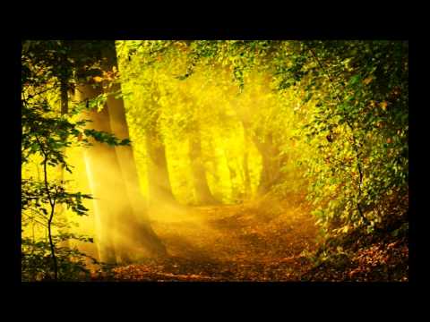 Jenia Noble - With Kind Morning (original mix)