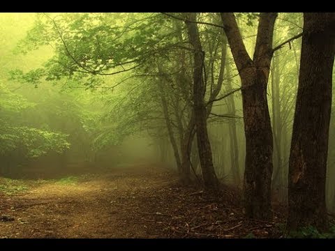 Luyến nhớ thu xưa Sheet - Diệu Hiền