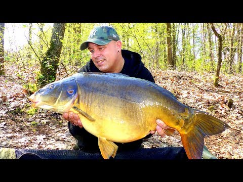 Karpfenangeln - VTB 39 - Futtertaktik fürs Frühjahr