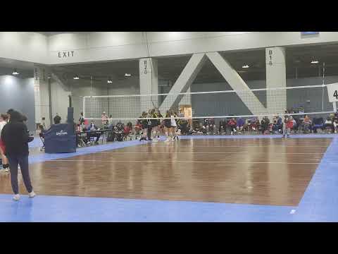 AVA 16-1 ARNOLD COTTON TAIL CLASH  GOLD FINAL