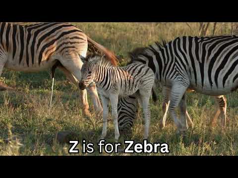 ABC Animal Song for Kids | Fun & Educational A to Z Animal Adventure | Sing Along & Learn