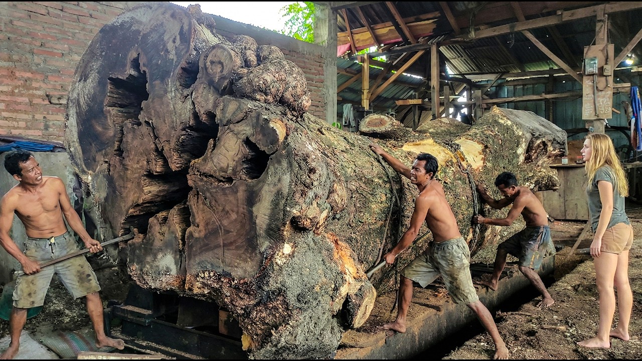 Advanced Sawmill Technology And Heavy Equipment In Action