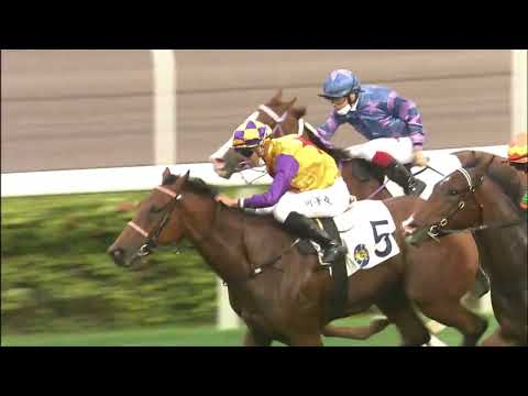 20/3/2022 (510) Eternal Bloom -Vincent Ho