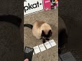 Cards Against Humanity