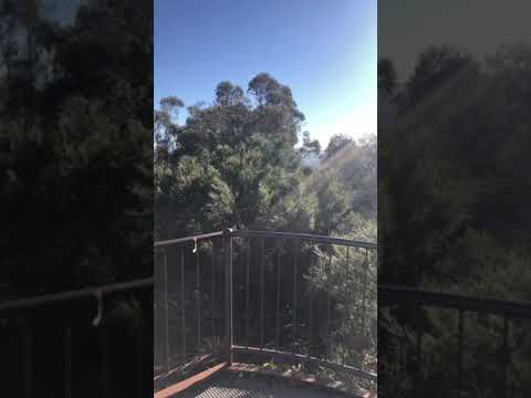 Mount Jerrabomberra Lookout and Walking Track