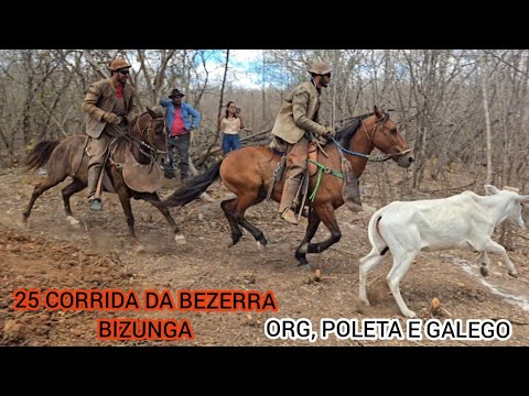 (DRONE) 24 CORRIDA DA BEZERRA BIZUNGA FAZ, BARAÚNA GROSSA IGUARACY-PE ORG, POLETA E GALEGO 