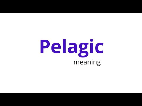 Pelagic/meaning
