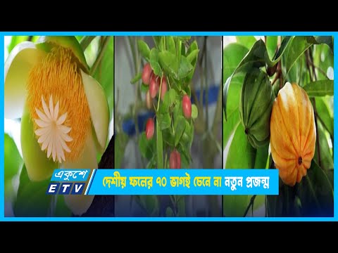 দেশীয় ফলের ৭০ ভাগই চেনে না নতুন প্রজন্ম | ETV News