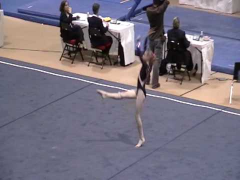 Krista Collins state team. Level 8Floor Ex-Region 8 championships