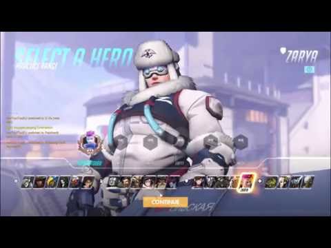 Artic Zarya Skin Spotlight