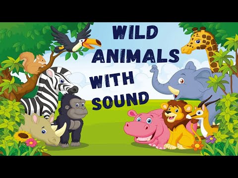 WILD ANIMALS WITH SOUND |KIDS VOCABULARY|EDUCATIONAL VIDEO |SKOOLOFFICIAL |NCERT|EDUCATIONAL VIDEO |