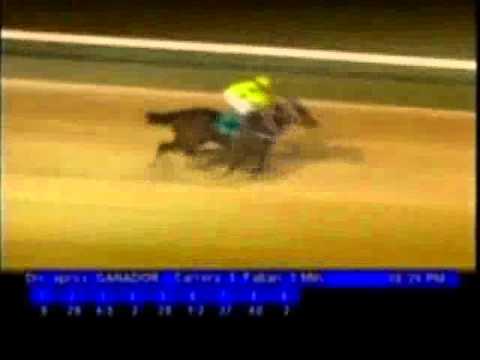 Resumen Viernes, 13 de Enero de 2012 - Valencia