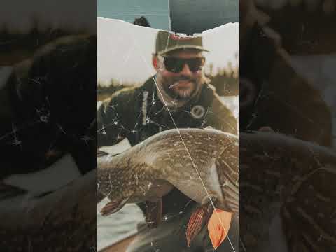 Fly-In to Fishing Paradise | Munroe Lake's Untouched Trophy Waters