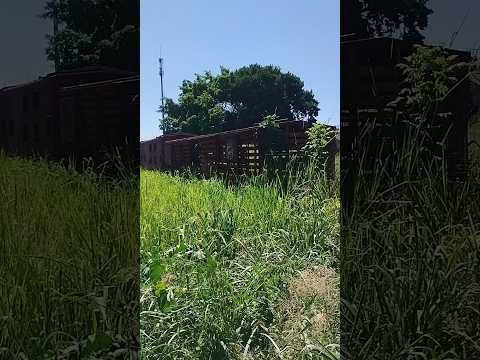 27/04/26, Araguari, MG.#turismo #viagem #araguari #minasgerais