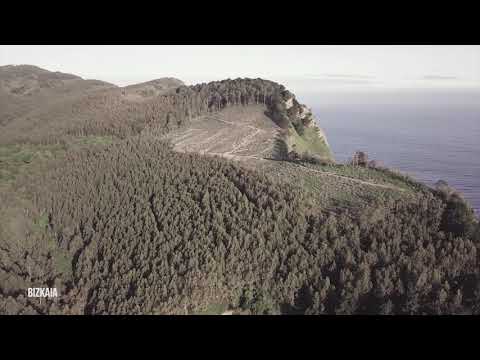 Bizkaia - Borneo SOS