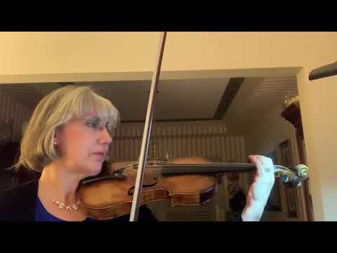 Brandenburg Concerto No. 5 first movement Violin 1