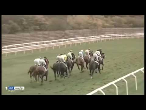 2016.11.06 Premio Roma (ITA) - Potemkin