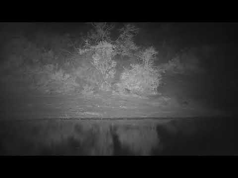 Djuma: Two Hyenas-one carrying something-but what is it? - 22:24 - 10/29/21