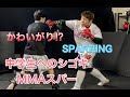 かわいがり！中学生とMMAスパー[Sparring]