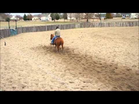 Shes Twice As Sweet 2009 Cutting Horse Prospect