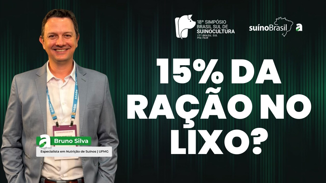15% menos desperdício: onde começar na alimentação de precisão