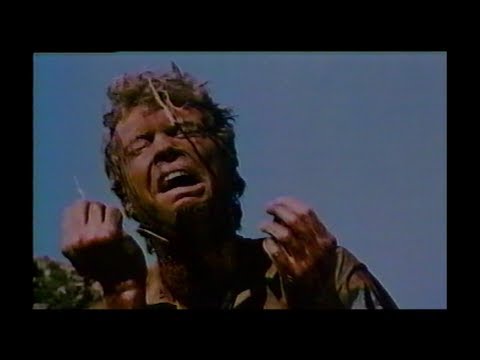 La section/ the Stick (1988) Bande annonce française