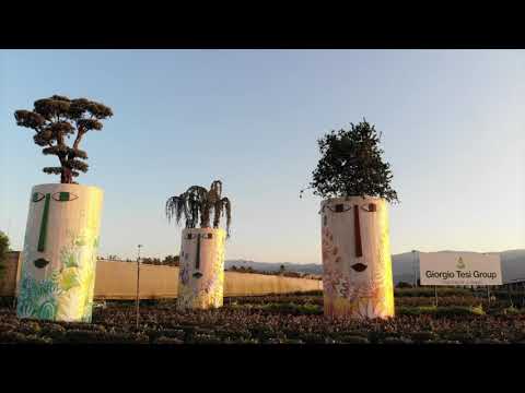 Giorgio Tesi Group - video aziendale