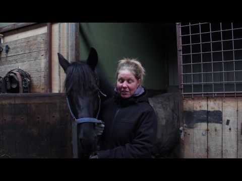 Entrainement Drafsport