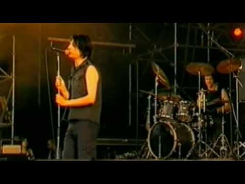 The Young Gods "Laisser couler le son" Live Paléo Festival 2001