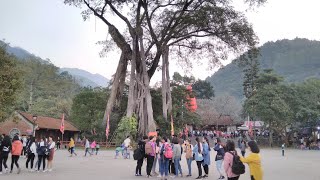 preview picture of video 'Tây Thiên Travel--Du xuân đầu năm con nhợn'