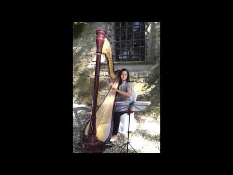 Wedding Harpist in Tuscany Italy - The Florence Harp Collective