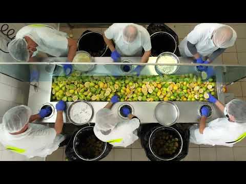 bfresh | feeju  Producion