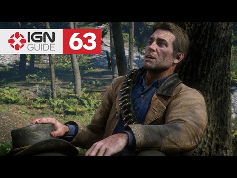 Red Dead Redemption 2 Walkthrough (Part 63) - Visiting Hours